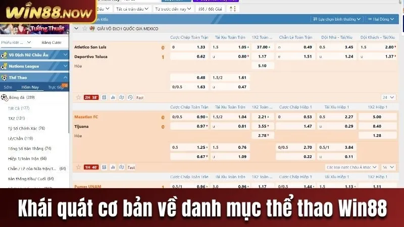 khai-quat-co-ban-ve-danh-muc-the-thao-win88